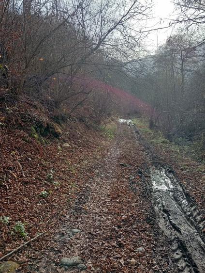 Vand/Schimb teren in zona Raului Mare, Retezat - 1