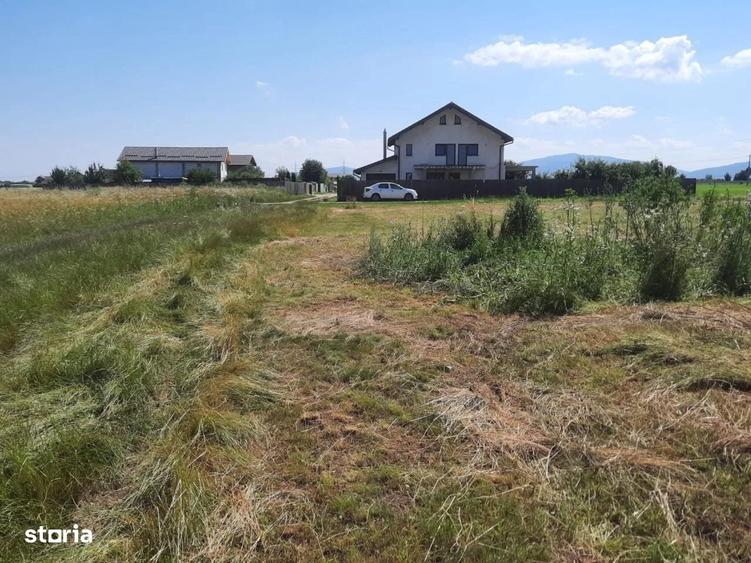 Teren intravilan Harman - 2