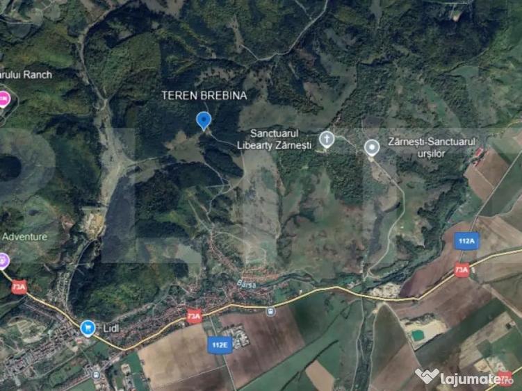 2 Terenuri in Zarne?ti Zona Brebina ; Investi?ie cu - 1