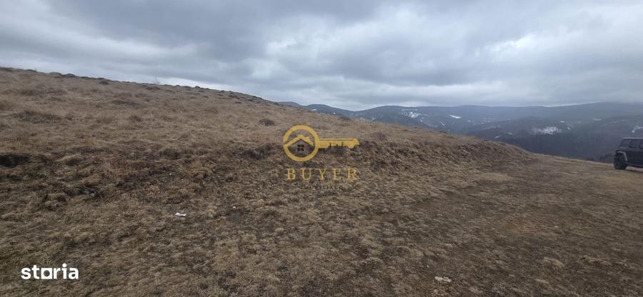 Teren investitie Paltinis - 5