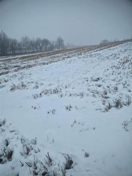 RECO, teren extravilan, Zona Sinteu, Bihor - 7