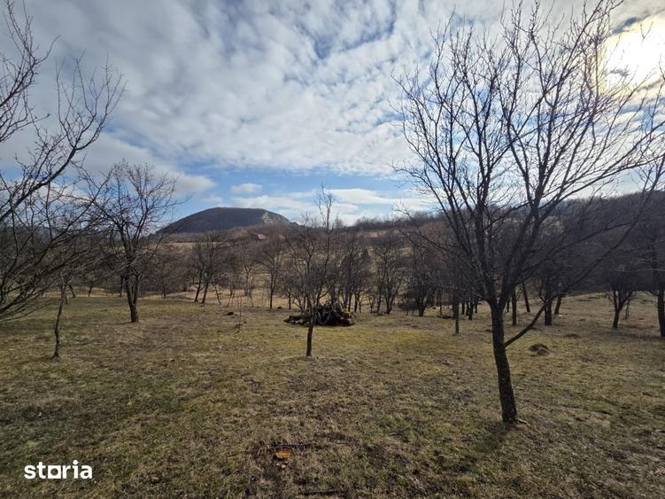Teren de 3800 mp, în Mirșid