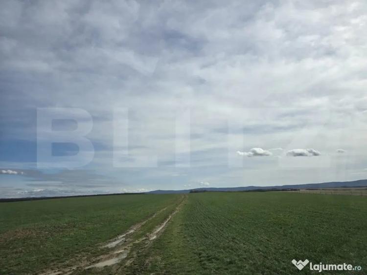 Teren de 243504 mp, în Ardud