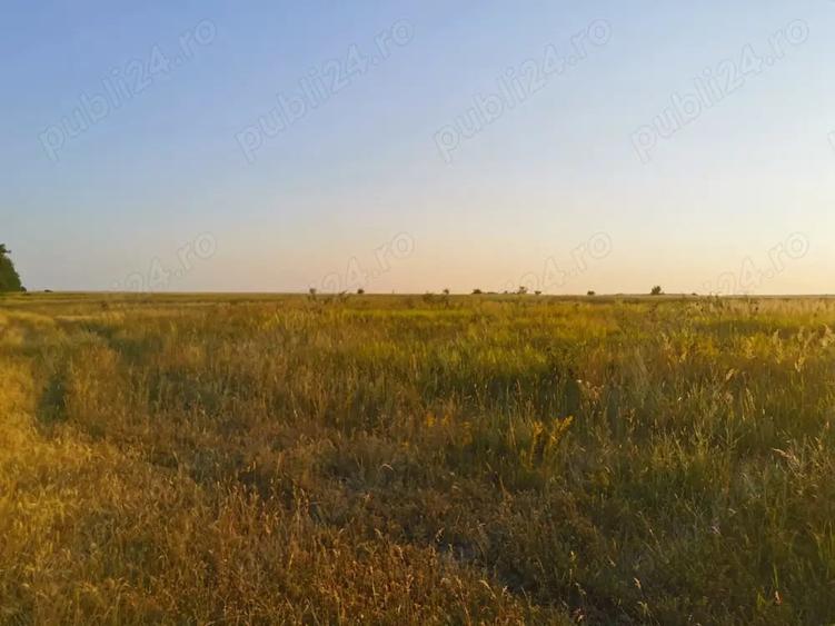 Teren de 20000 mp, în Colareț
