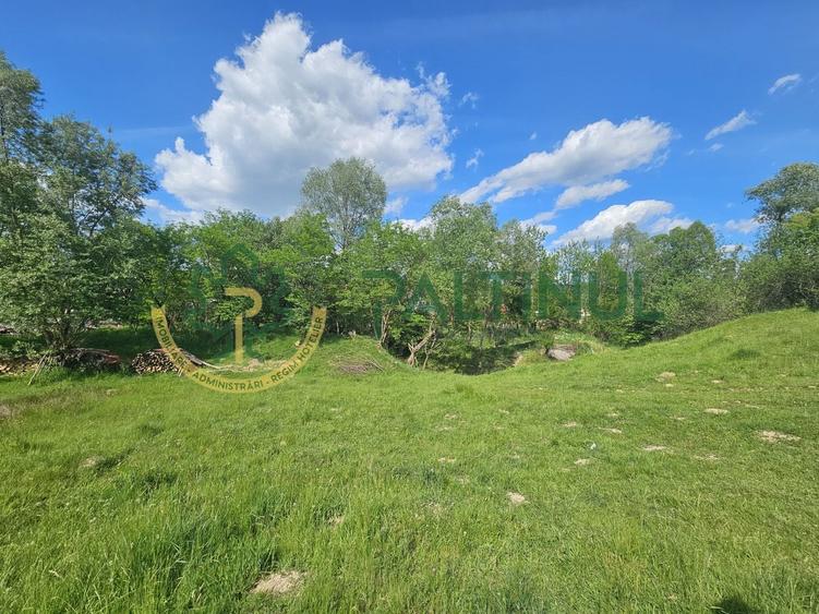 Teren agricol extravilan de 2600 mp, în Racovița