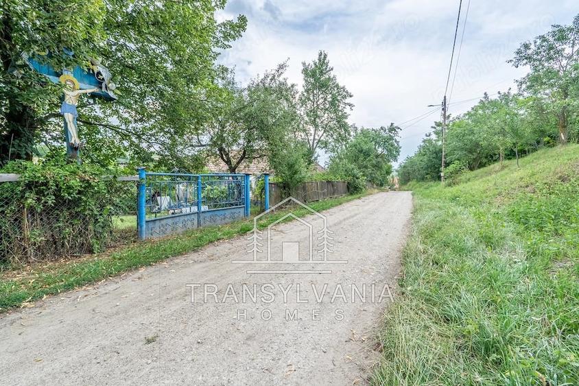 Casă cu Teren 2560 Mp în Sâmboleni
