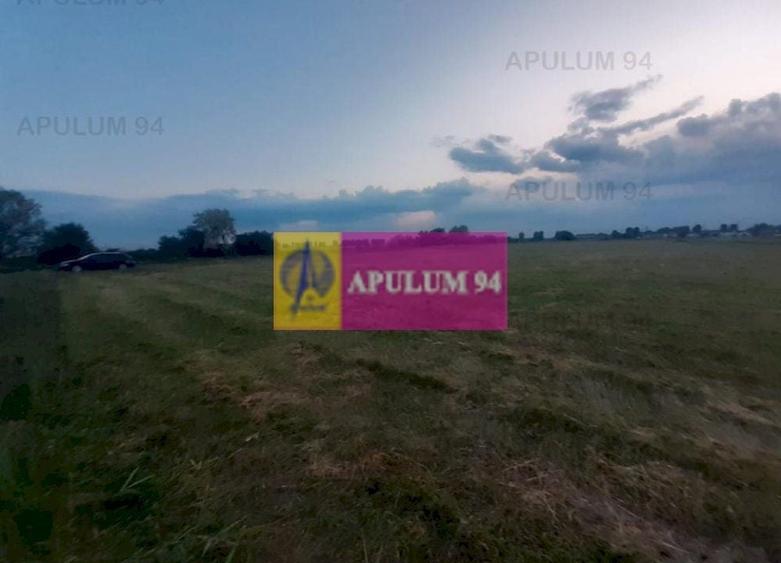 Teren Construcții intravilan de 3820 mp, în 1 Decembrie