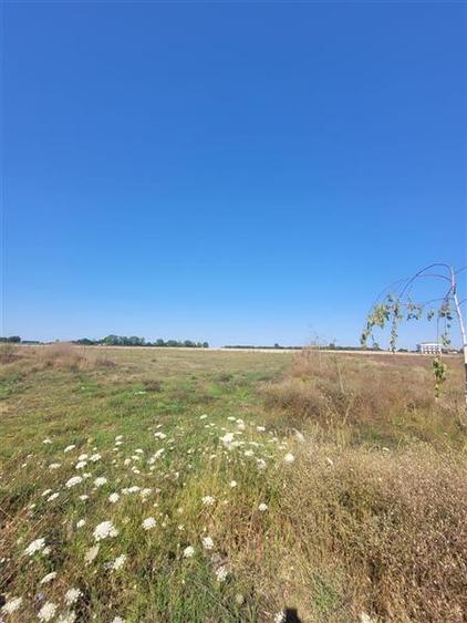 Teren Construcții intravilan de 1000 mp, în Exterior Sud