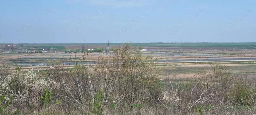 Teren de 4300 mp, în Comana