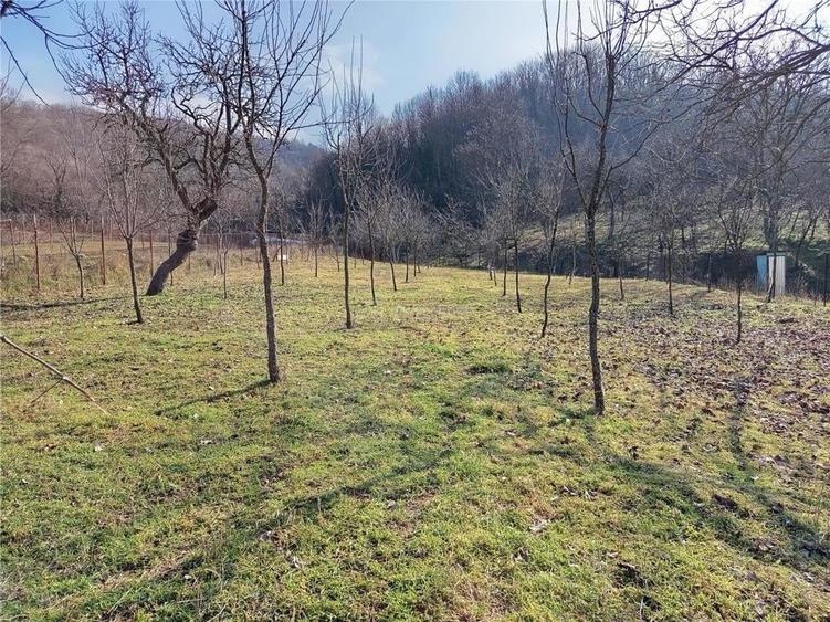 Teren de 1800 mp, în Ciclova Română
