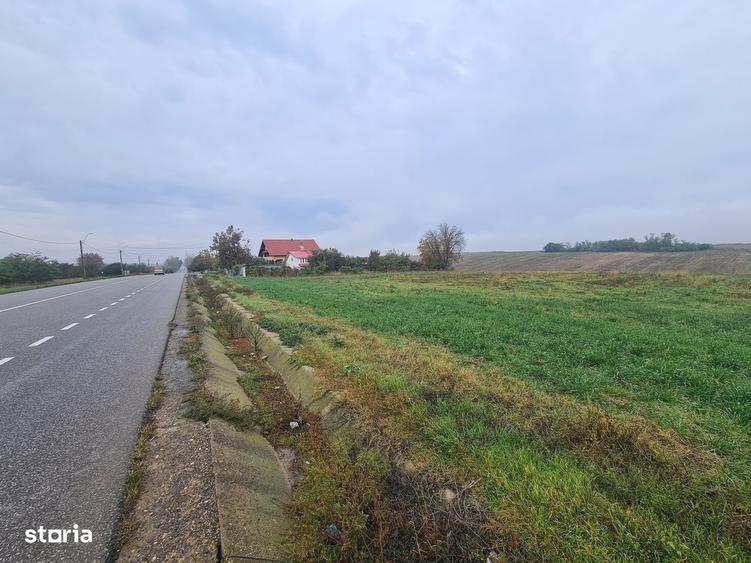 Spațiu comercial, în Dumbrava