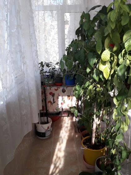 Vand apartament decomandat cu 3 camere, 100 m patra?i! - 4