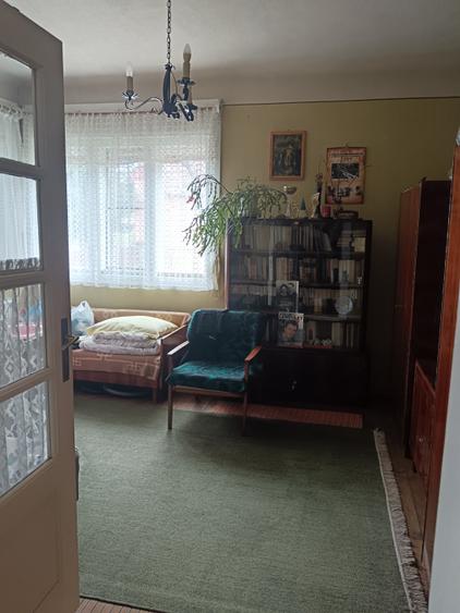 Casa familiala Gornesti - 6