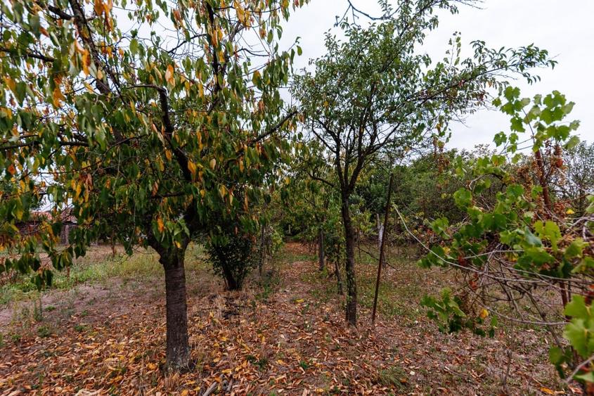 Teren 1.439 mp cu casa batraneasca – Urseni, Vatra Veche - 5