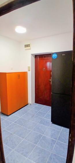 INCHIRIERE GARSONIERA SEBASTIAN - RAZOARE - 6