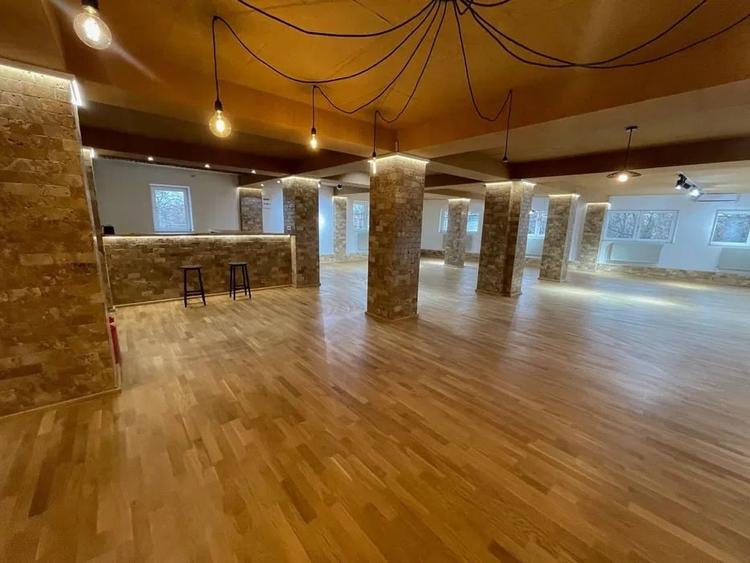 Spatiu birou, activitati artistice - zona Razoare- P-ta Danny  Huwe - 2