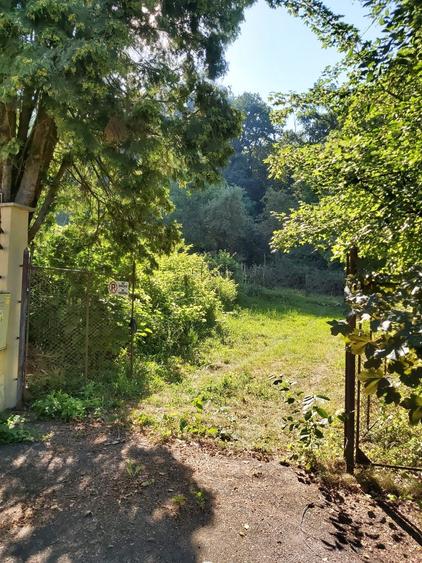 Vand teren intravilan cu toate utilitatile in zona Platou-Cornesti - 1