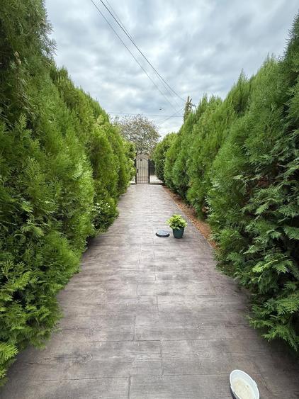 Snagov Vila super ocazie super preț - 4