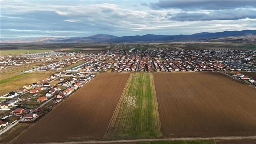 Loturi de vanzare cu PUZ, 500 mp, Izvor, Brasov - 1