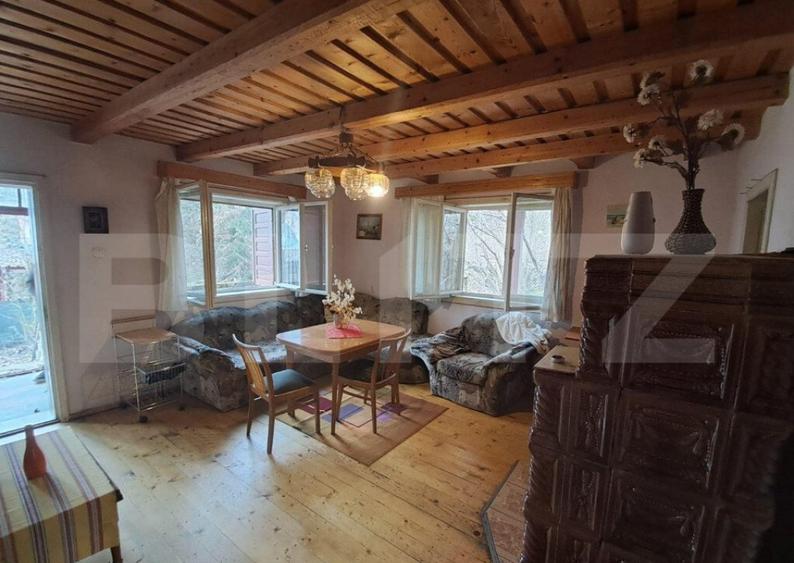 Cabana in colibita - 4