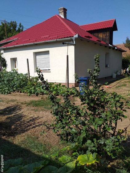 casa ?i gradina de vinzare - 6