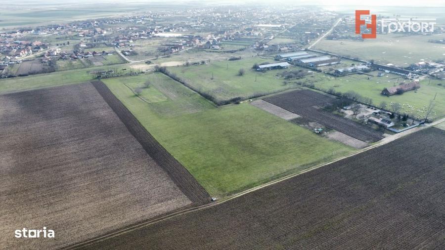 Teren intravilan 2 hectare in Padureni oportunitate investitie sau - 4