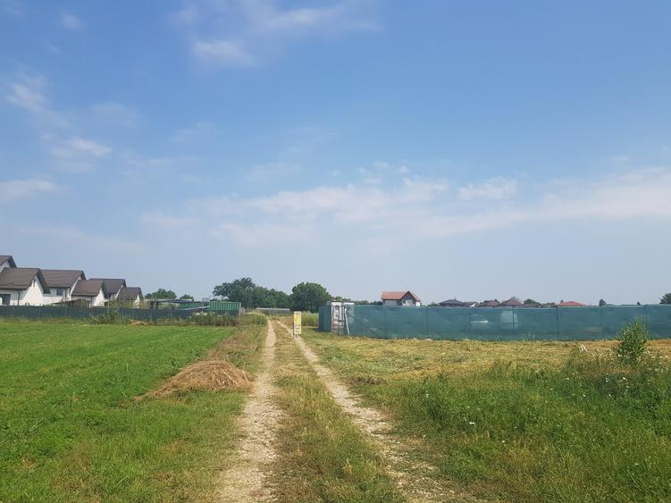 Loturi de teren parcelat, Sabareni, intravilan, 620-650 mp - 14