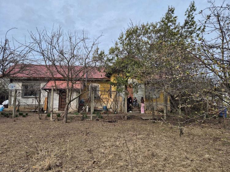 Casa de vinzare in Giubega DOLJ - 6