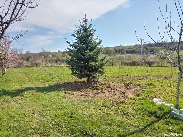 Inchiriez teren intravilan - 2