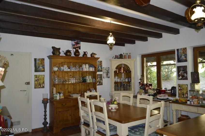 Topoloveni - Conacul Ion Mihalache, Domeniu pe 5 Hectare! - 22