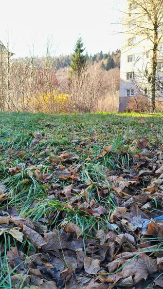 Proiect si autorizatie imobil 6 apartamente, 800 mp, P+2E+M - 3