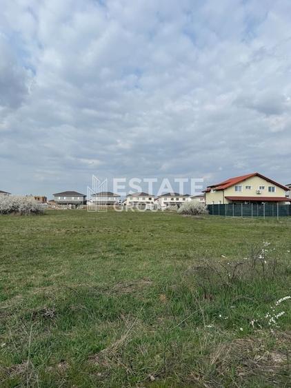 Teren SAD Mosnita Noua - 8