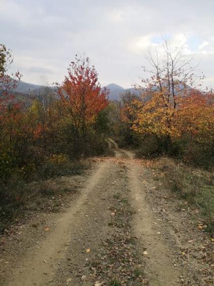 Vând casă la țară în comuna Bulzeștii de Sus, sat Tomnatec, Muntii Apuseni - 3