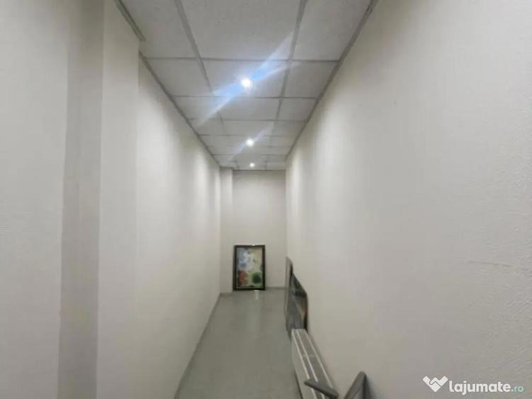 Spatiu de inchiriat, 102 mp, zona Independentei - 8