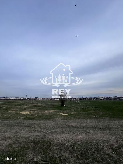 Teren Arabil Turni?or - Spre ferma de pui - 6