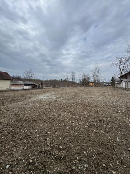 Teren Intravilan - parcelabil - 1.450 mp - Valea Avrigului - 4