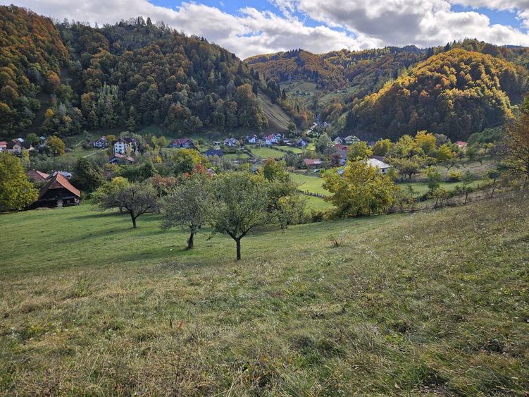 Vand teren moeciu ,cheile gradistei - 1