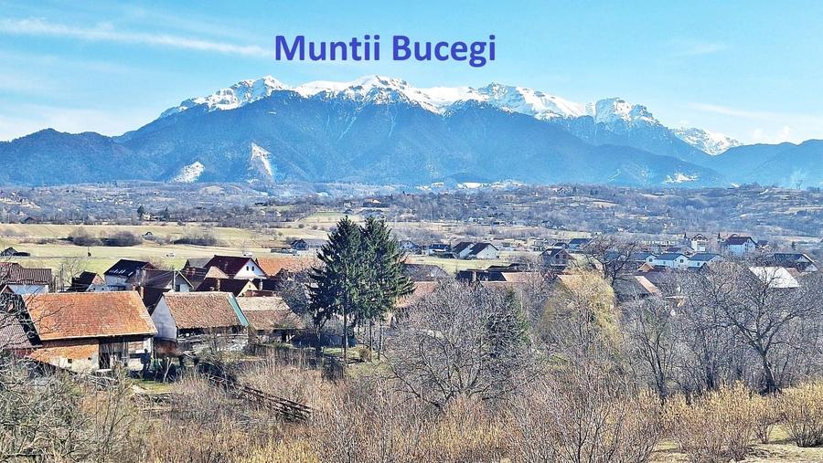 Comision 0%! Teren superb de 17000mp la 5 min de Castelul Bran, 13 euro/mp - 4