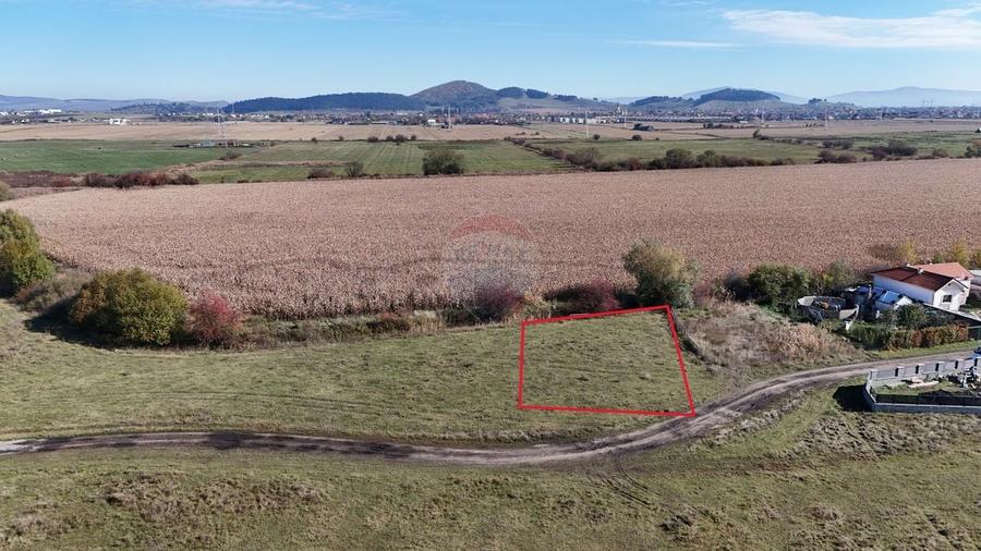 Comision 0% | Teren intravilan 600 mp | SANPETRU - 4