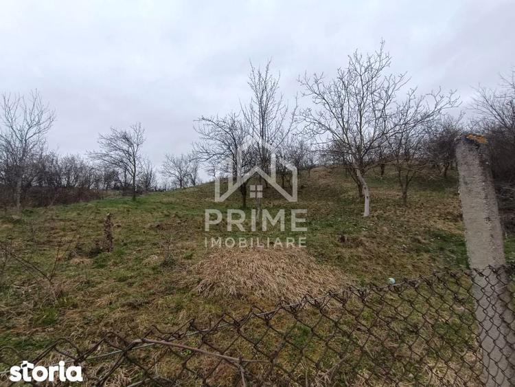 Casa renovabila cu livada 3000 mp | Utilitati | Tibru, Alba - 4