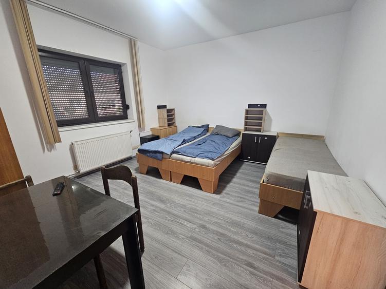 Proprietate speciala Dumbravita - casa individuala !! - 2