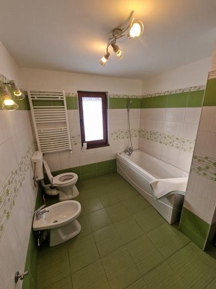 Vindem proprietate in orasul Frasin, Bucsoaia - Bucovina - 6