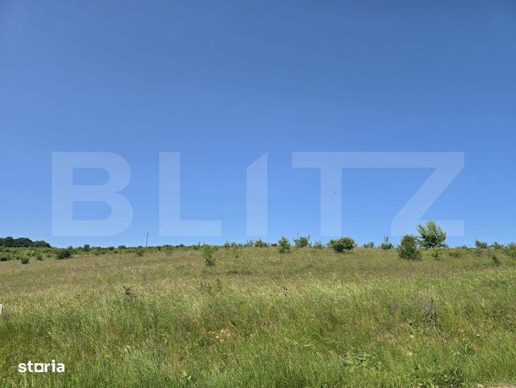 Teren intravilan construibil in Salicea - 4