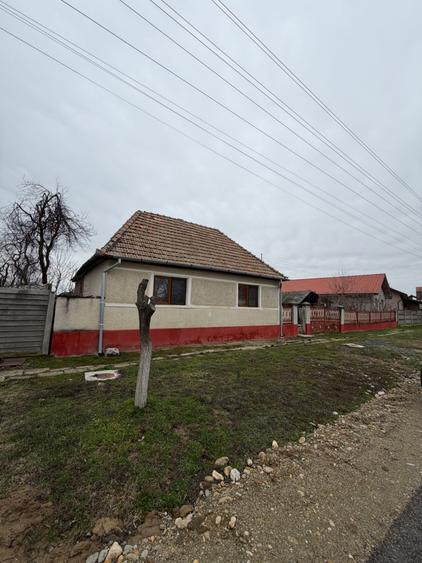 Casa Jebel teren 1696 mp front 57 ml utilitati strada asfaltata - 1