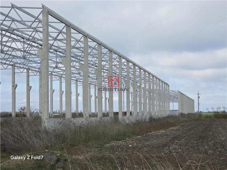 Vanzare depozit hala spatiu industrial Mogosoaia - Buftea - 1