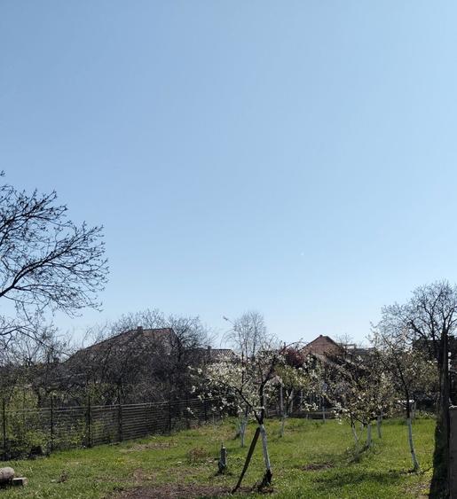 Proprietar Casa chirie Gradiste Petru Rares - 5