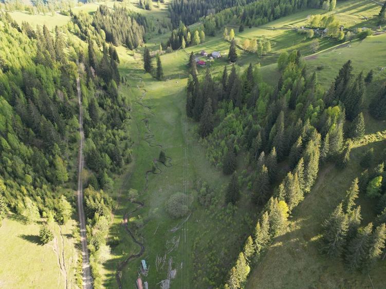 Teren de vanzare, Muntele Bocului Baisoara ,teren1000 mp - 6