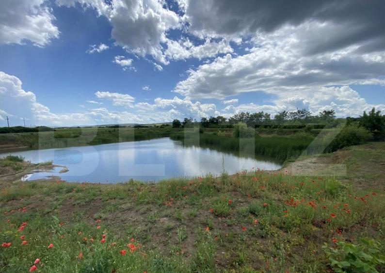 Teren extravilan 10000 mp, cu balta de peste, Salaj, Sarmasa - 3