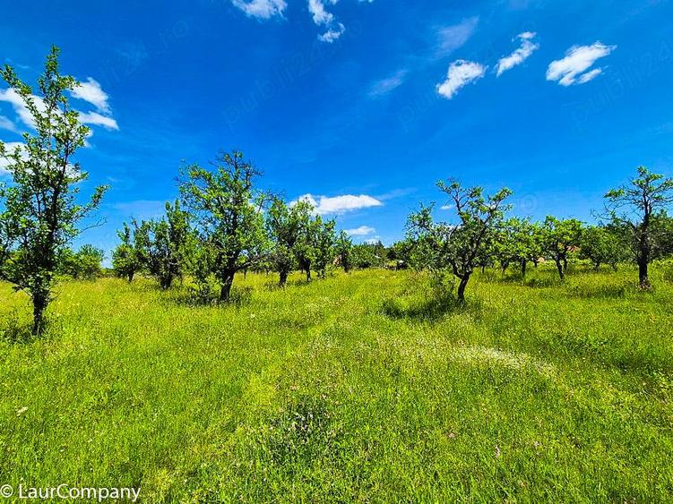 Teren intravilan Cotmeana Arges - 8