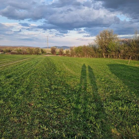 De vanzare teren extravilan - 2